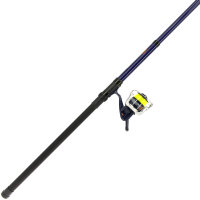 Teleskoprute Beachcaster Set