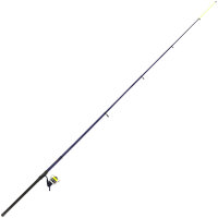 Teleskoprute Beachcaster Set